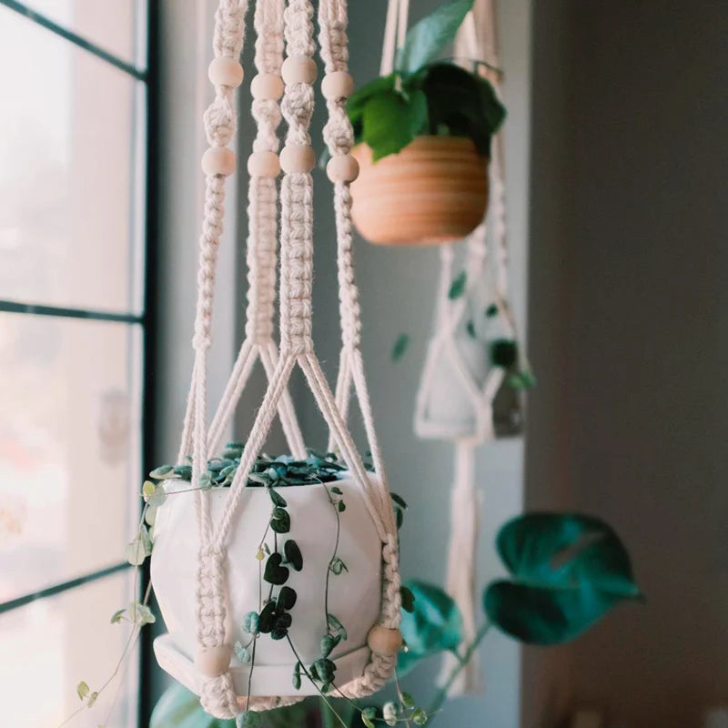 Macrame Plant Hanger