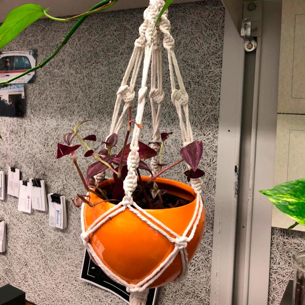 Macrame Plant Hanger
