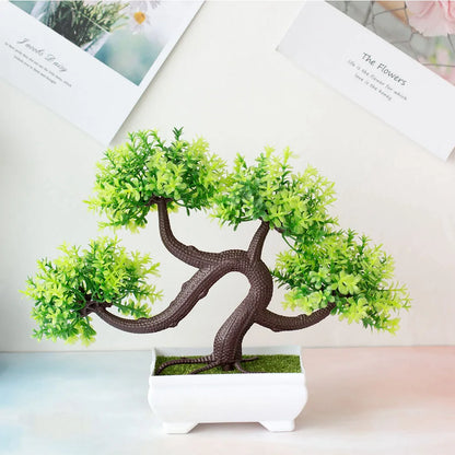 Mini Bonsai Tree