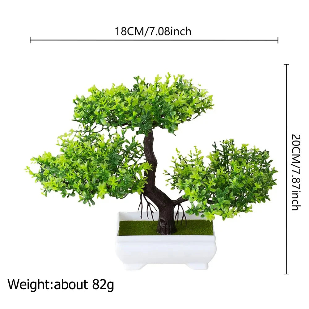 Mini Bonsai Tree